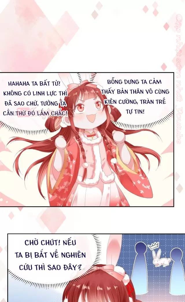 Nam Chủ Hắc Hóa Nuôi Dưỡng Thỏ Online - Chap 4