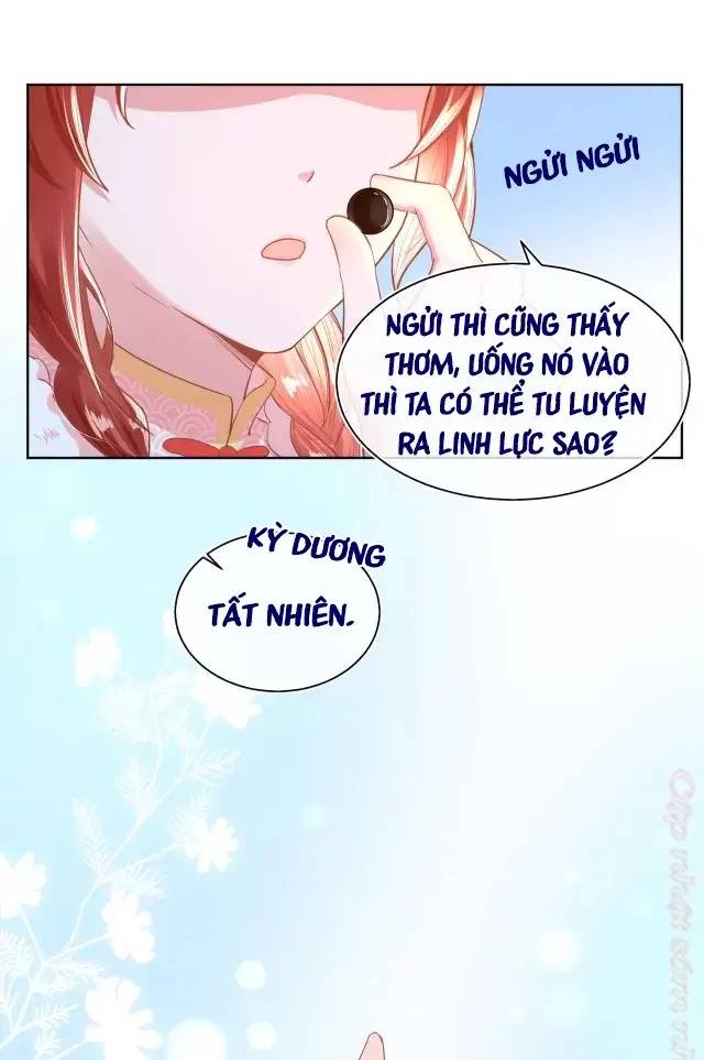 Nam Chủ Hắc Hóa Nuôi Dưỡng Thỏ Online - Chap 7