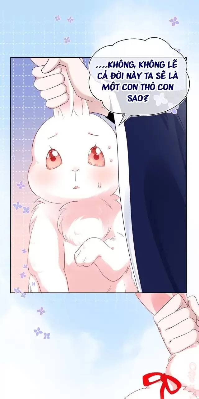 Nam Chủ Hắc Hóa Nuôi Dưỡng Thỏ Online - Chap 7