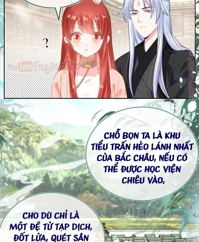 Nam Chủ Hắc Hóa Nuôi Dưỡng Thỏ Online - Chap 8
