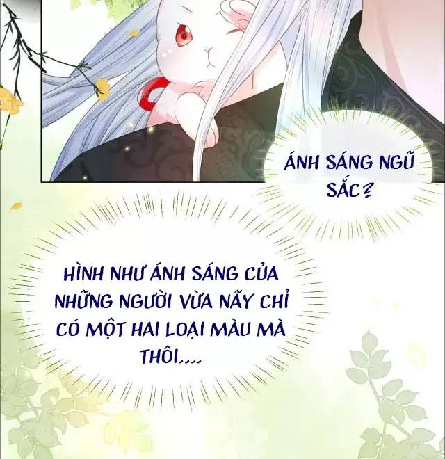 Nam Chủ Hắc Hóa Nuôi Dưỡng Thỏ Online - Chap 9