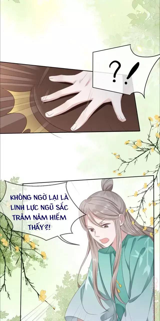 Nam Chủ Hắc Hóa Nuôi Dưỡng Thỏ Online - Chap 9