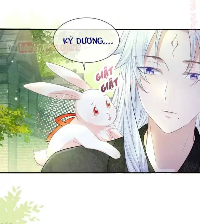 Nam Chủ Hắc Hóa Nuôi Dưỡng Thỏ Online - Chap 9