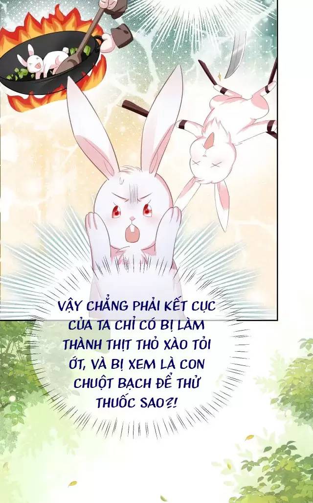 Nam Chủ Hắc Hóa Nuôi Dưỡng Thỏ Online - Chap 9