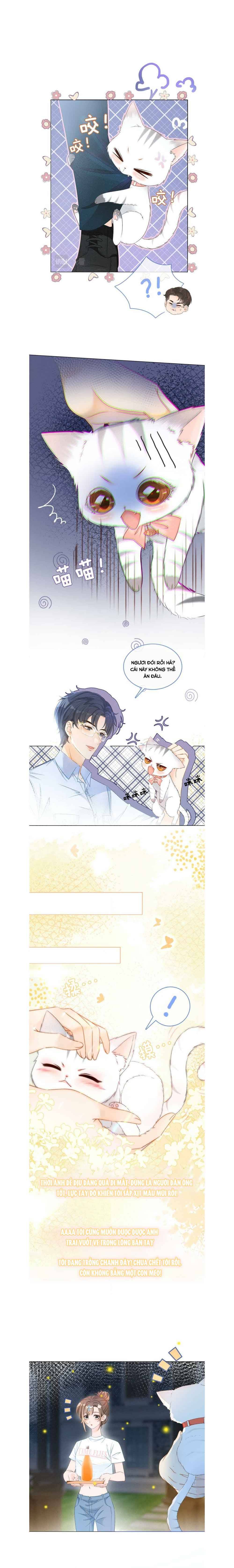 Ngày Nào Cô Ấy Cũng Lên Hot Search - Chap – 13