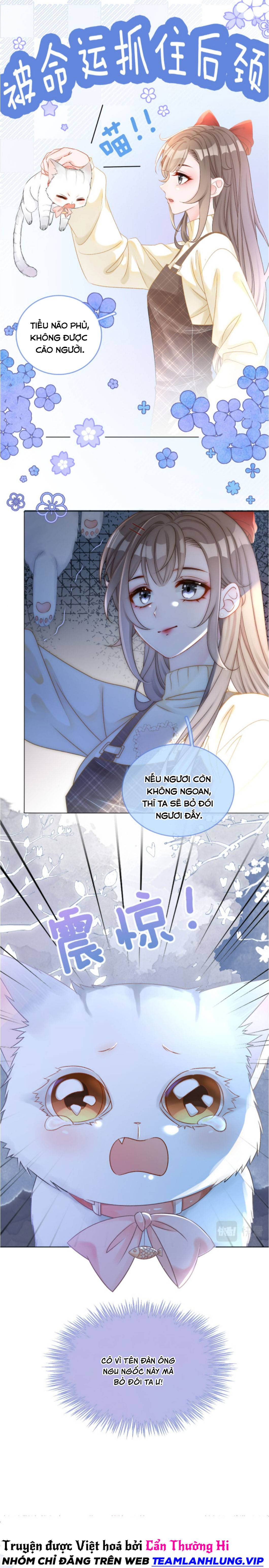 Ngày Nào Cô Ấy Cũng Lên Hot Search - Chap – 19