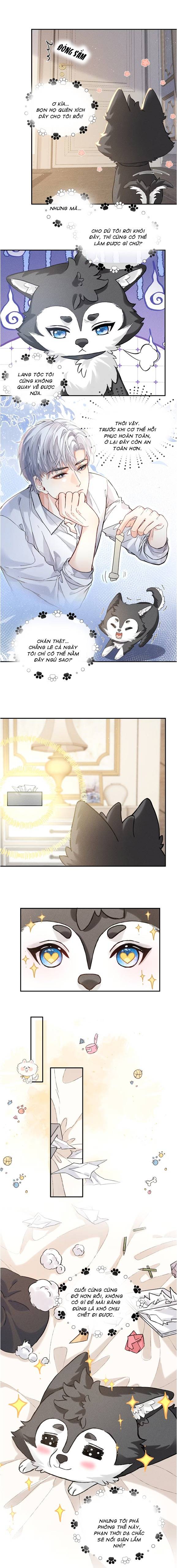 Nhận Kẻ Thù Làm Cha - Chap 4