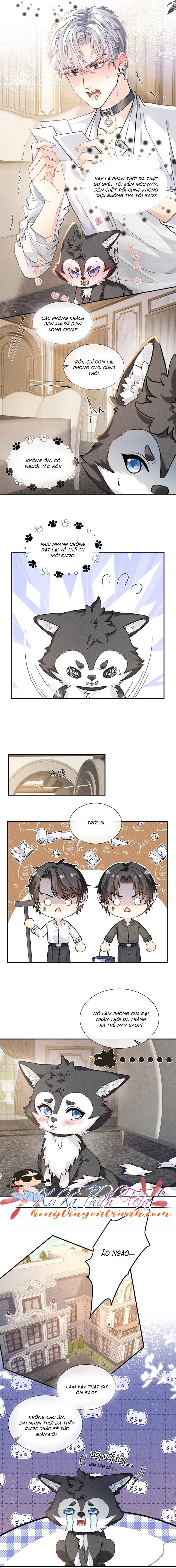 Nhận Kẻ Thù Làm Cha - Chap 5