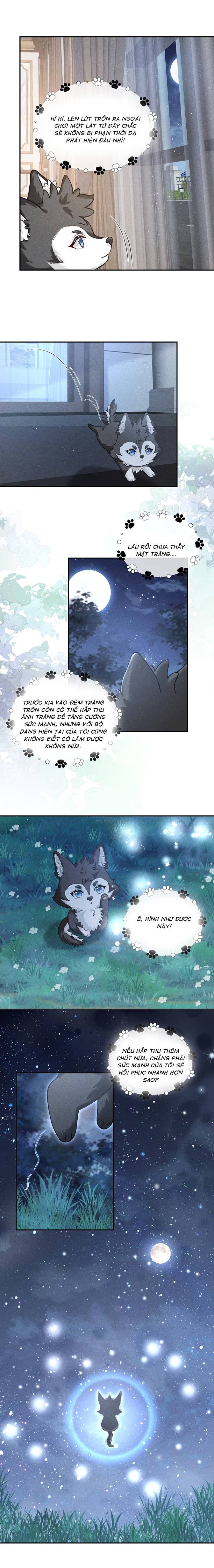 Nhận Kẻ Thù Làm Cha - Chap 7