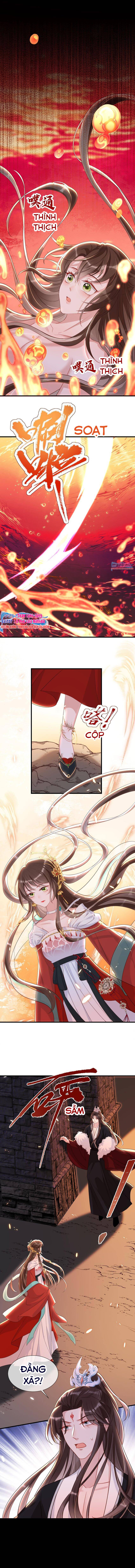 Nhặt Nuôi Phu Quân - Chap 22