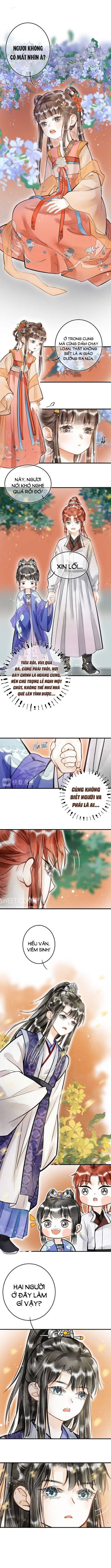 Phu Quân Ta Nuôi Từ Bé Muốn Thủ Tiêu Ta - Chap 12