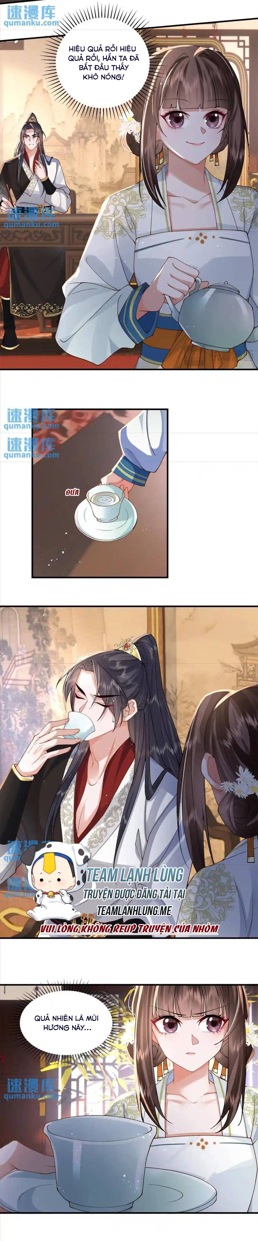 Phượng Hoàng Quy Hồi - Chap 13