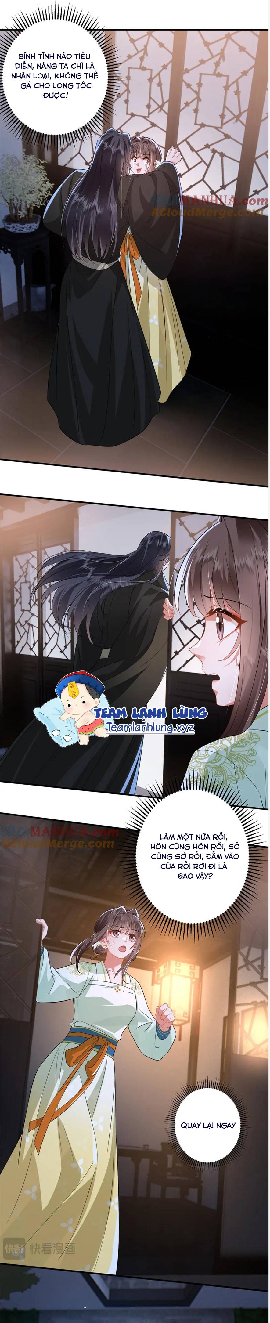 Phượng Hoàng Quy Hồi - Chap 16