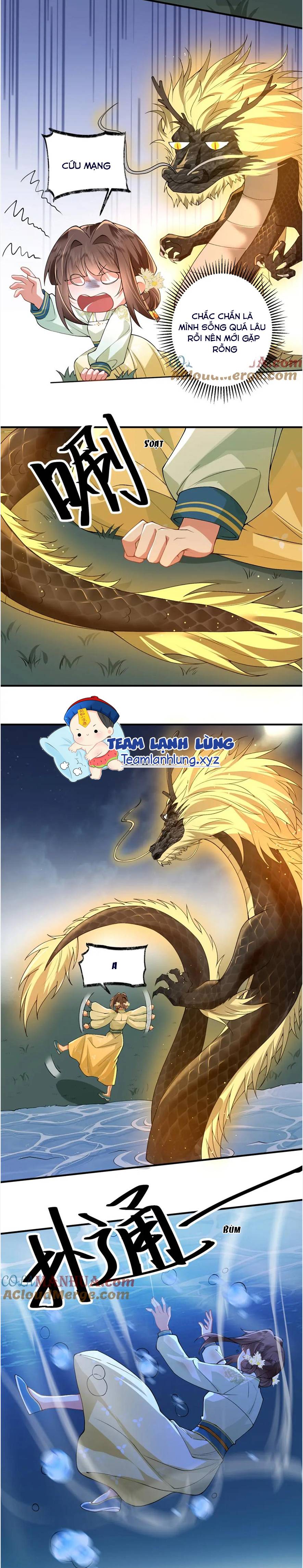 Phượng Hoàng Quy Hồi - Chap 17