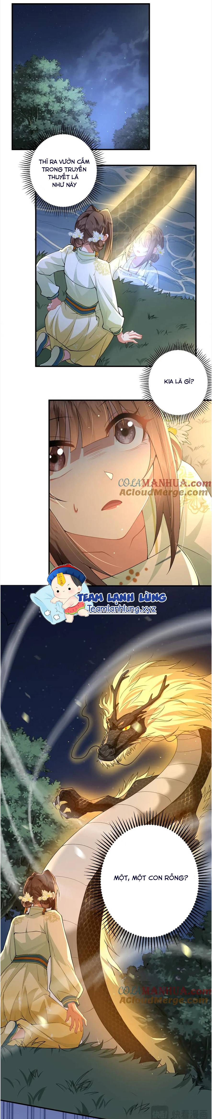 Phượng Hoàng Quy Hồi - Chap 17