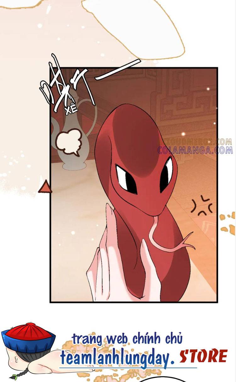 Phương Thức Sinh Tồn Của Công Chúa Pháo Hôi - Chap 377