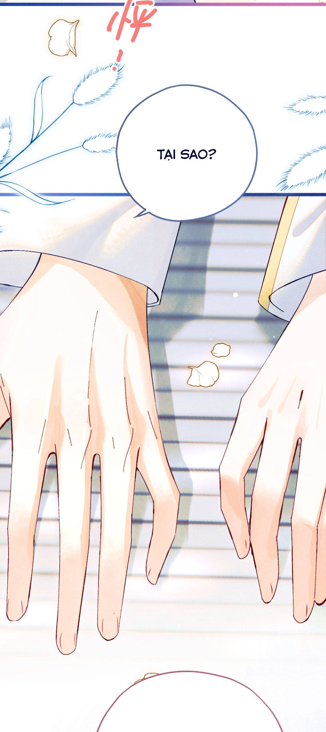 Rõ Ràng Là Anh Ta Thầm Yêu Tôi. - Chap rõ ràng là anh ta thầm yêu tôi 1