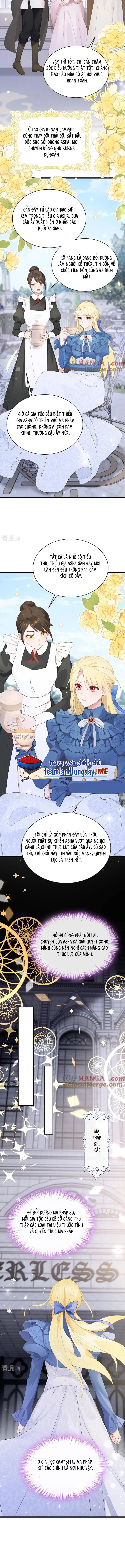 Sau Khi Nhường Lại Thiên Phú, Ta Trở Thành Bảo Bối Của Giới Pháp Thuật - Chap 15