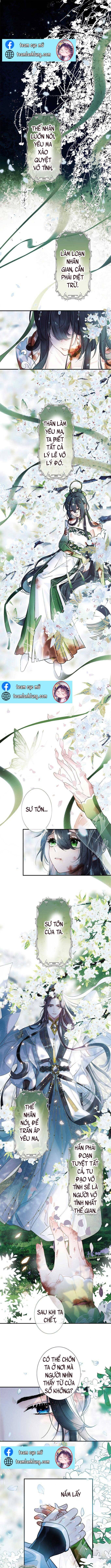 Sư Tôn Của Ta Thật Xinh Đẹp - Chap 1