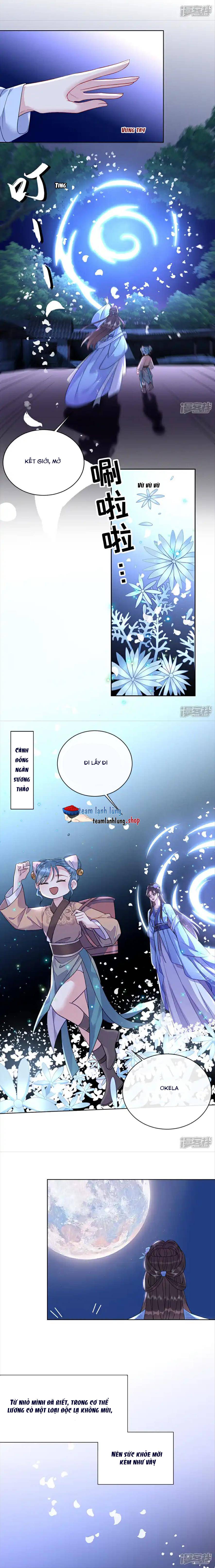 Ta Là Bạch Nguyệt Quang Quá Cố Trong Lòng Đại Boss - Chap 17