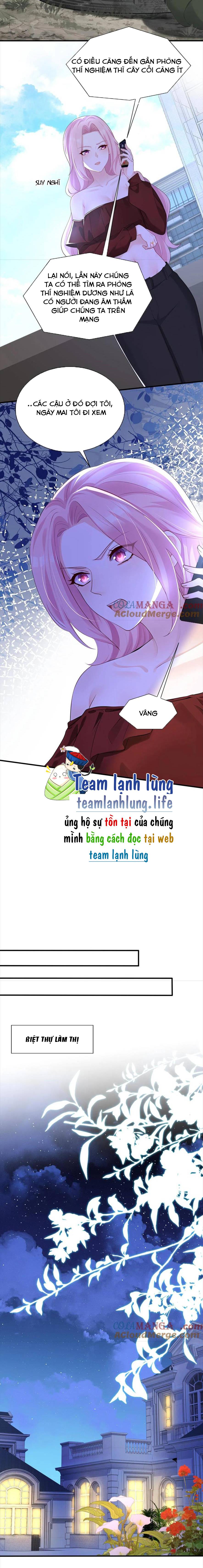 Tái Sinh Trở Lại : Chồng Cũ Khóc Lóc Cầu Xin Tái Hôn - Chap 182