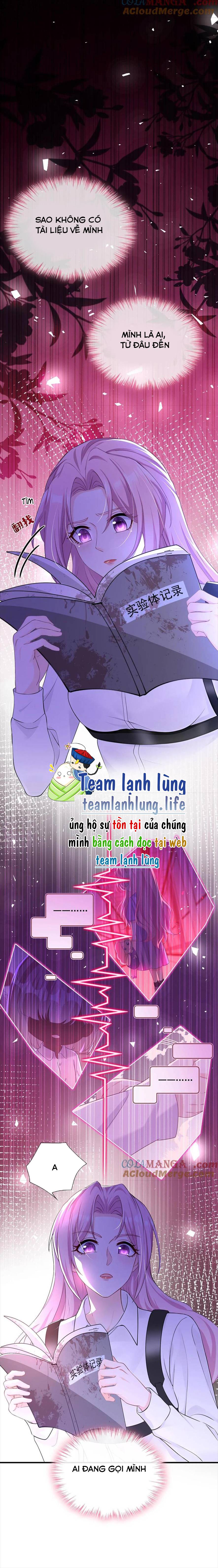 Tái Sinh Trở Lại : Chồng Cũ Khóc Lóc Cầu Xin Tái Hôn - Chap 184