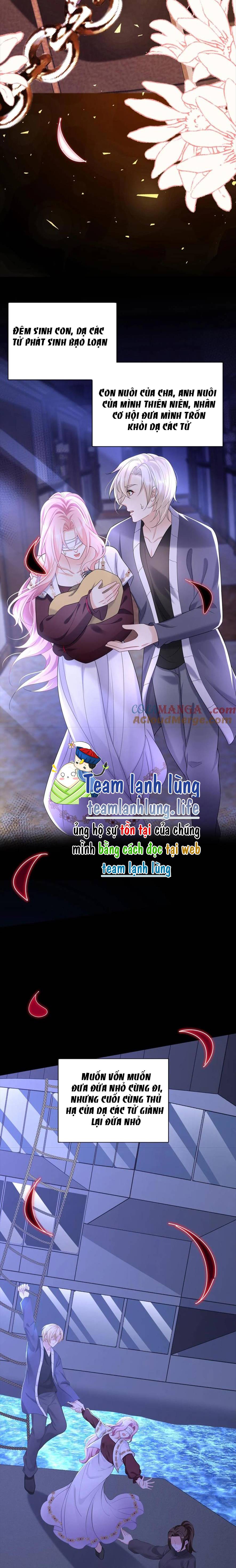 Tái Sinh Trở Lại : Chồng Cũ Khóc Lóc Cầu Xin Tái Hôn - Chap 185