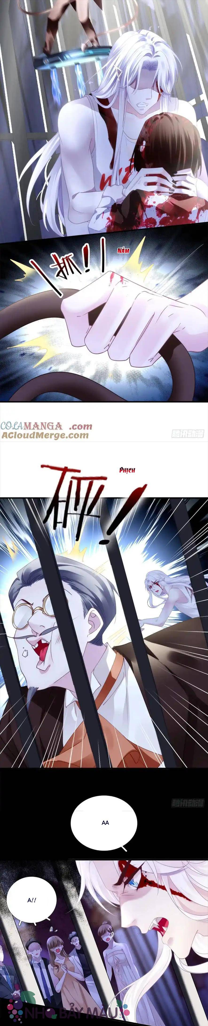 Thánh Tâm Không Khó Trêu Chọc - Chap 10