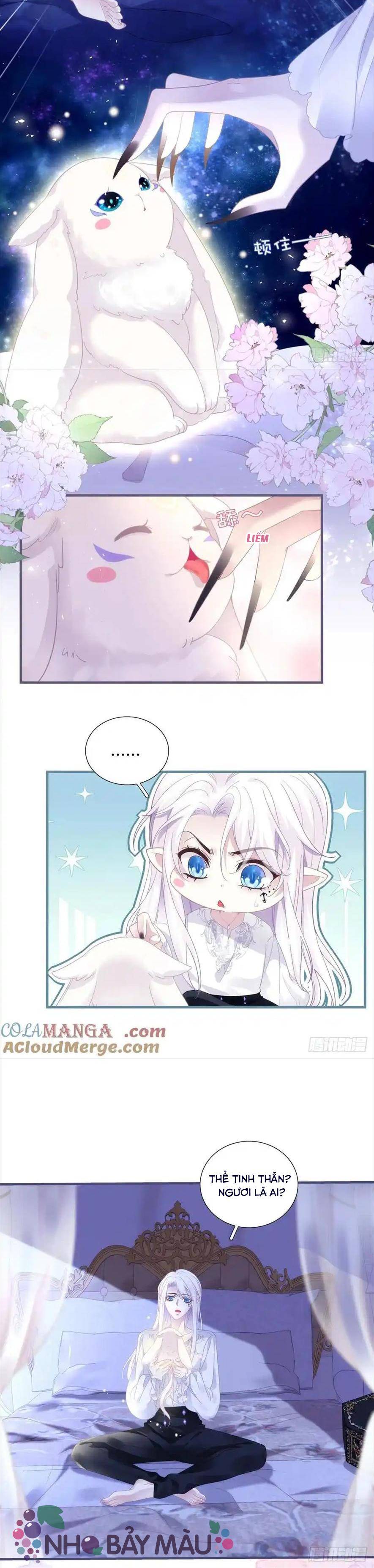 Thánh Tâm Không Khó Trêu Chọc - Chap 11