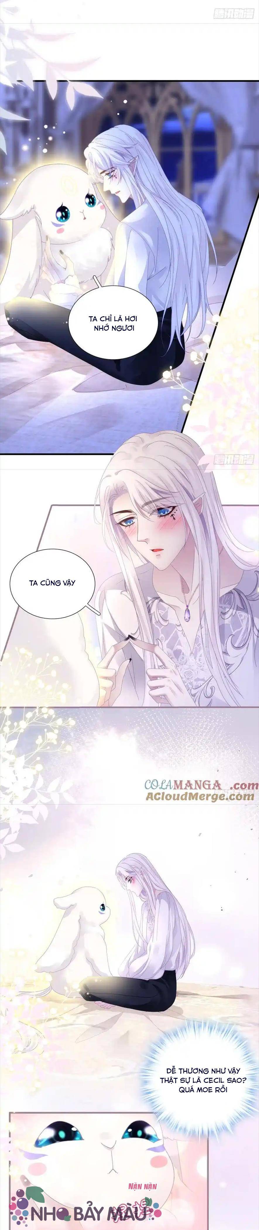 Thánh Tâm Không Khó Trêu Chọc - Chap 11