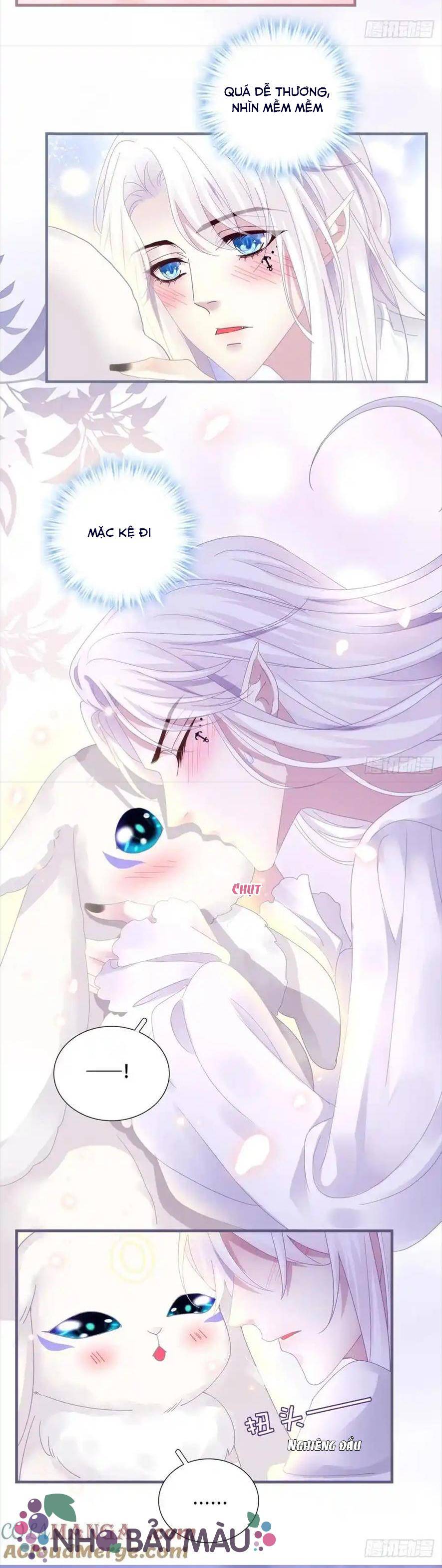 Thánh Tâm Không Khó Trêu Chọc - Chap 11