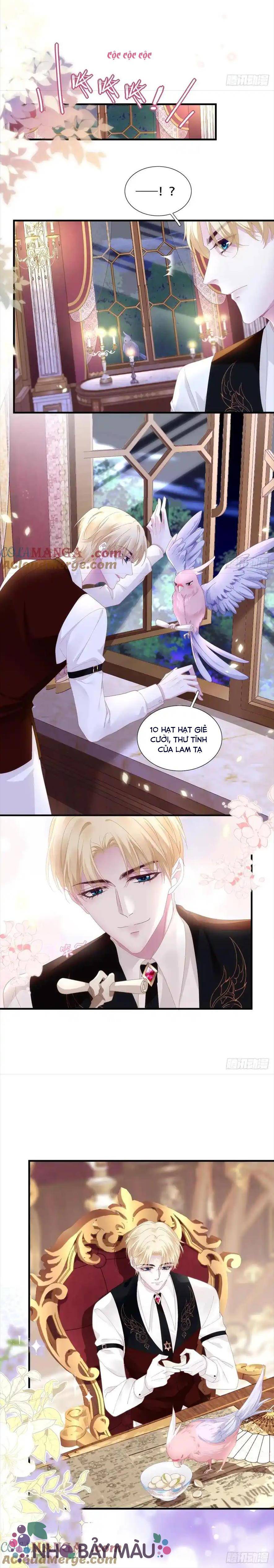 Thánh Tâm Không Khó Trêu Chọc - Chap 12