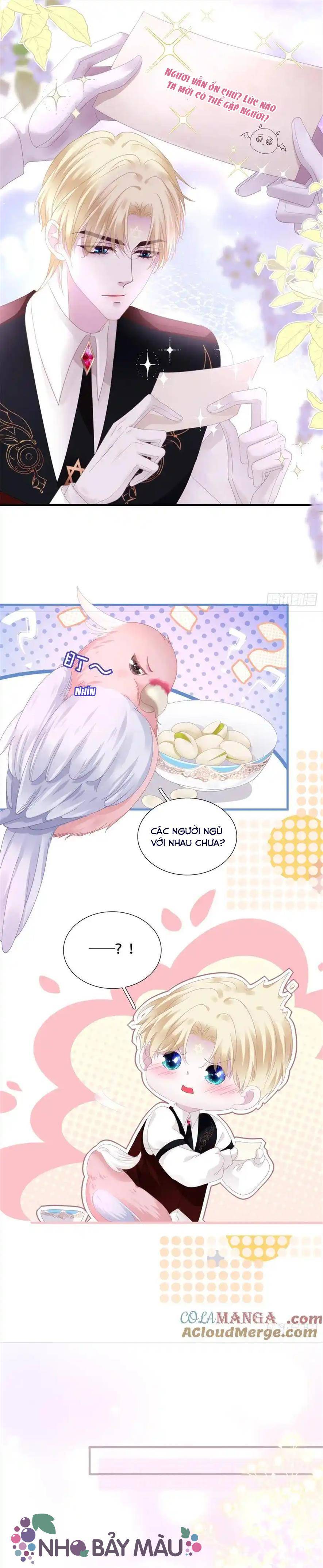 Thánh Tâm Không Khó Trêu Chọc - Chap 12