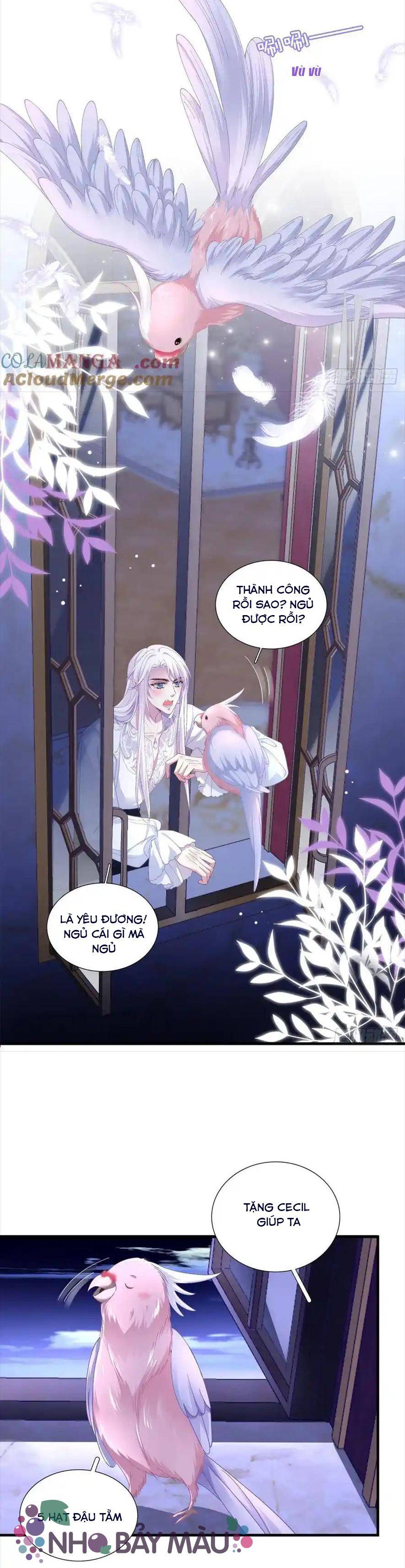 Thánh Tâm Không Khó Trêu Chọc - Chap 12