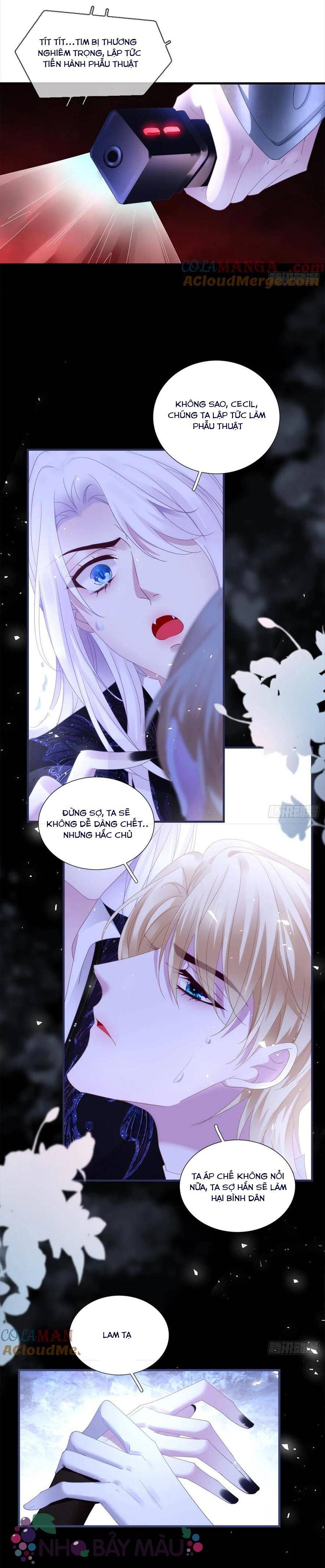 Thánh Tâm Không Khó Trêu Chọc - Chap 15