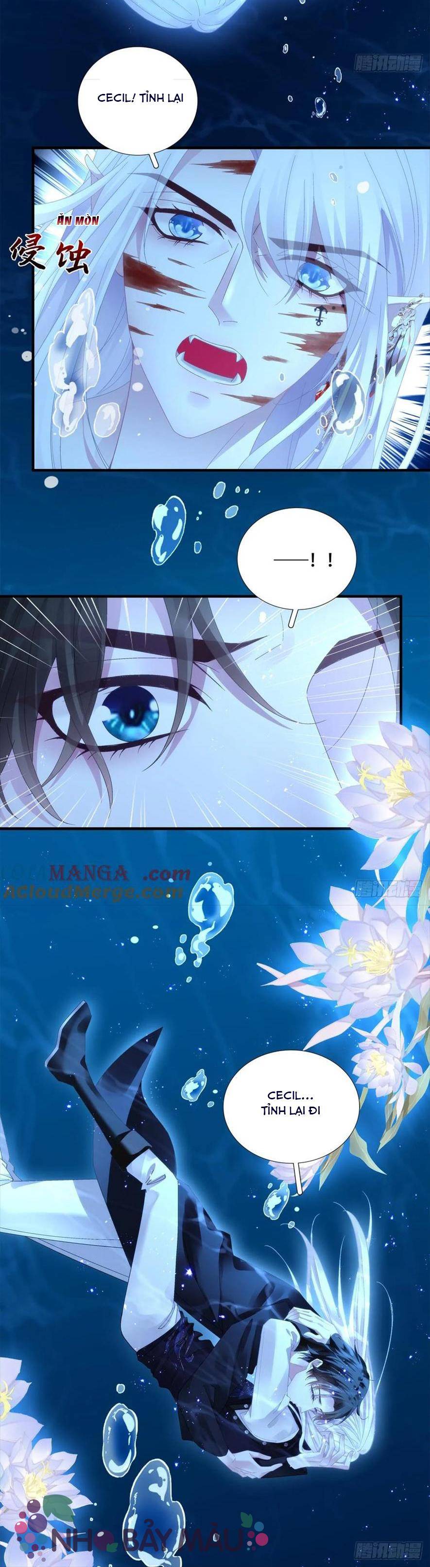 Thánh Tâm Không Khó Trêu Chọc - Chap 18