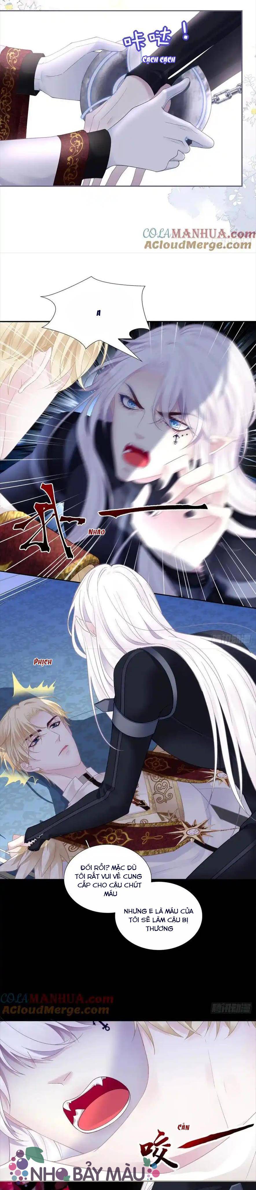 Thánh Tâm Không Khó Trêu Chọc - Chap 2