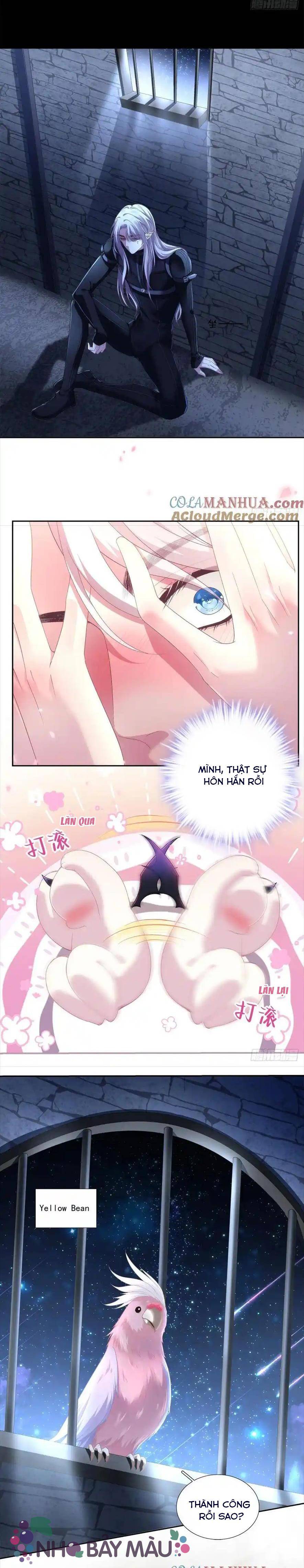 Thánh Tâm Không Khó Trêu Chọc - Chap 2