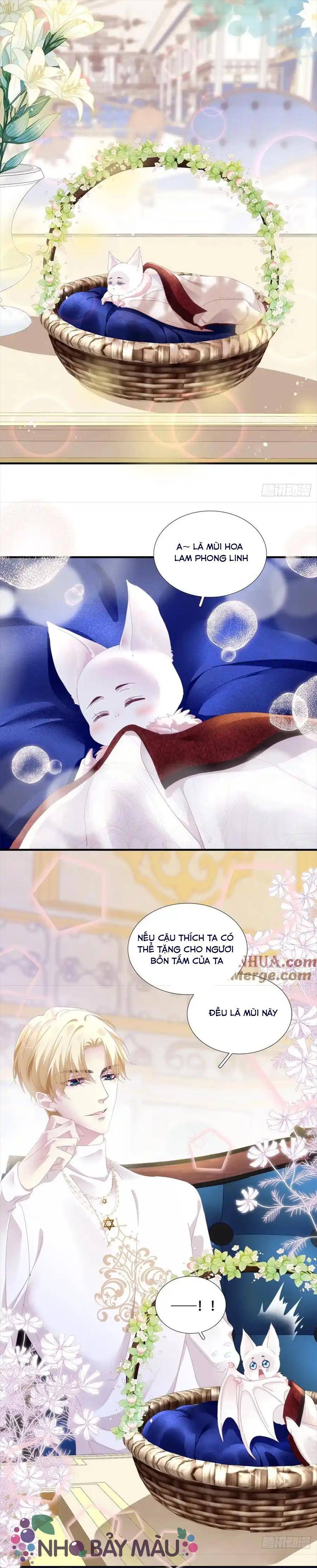 Thánh Tâm Không Khó Trêu Chọc - Chap 4