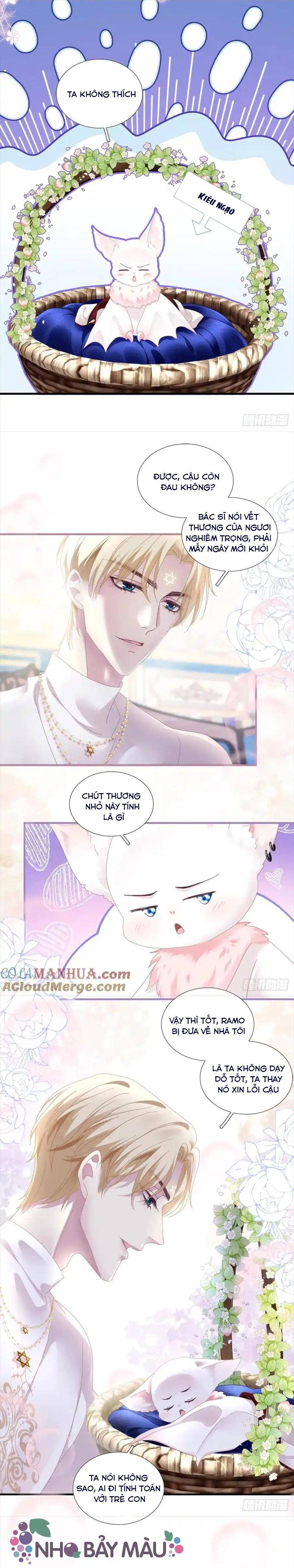 Thánh Tâm Không Khó Trêu Chọc - Chap 4