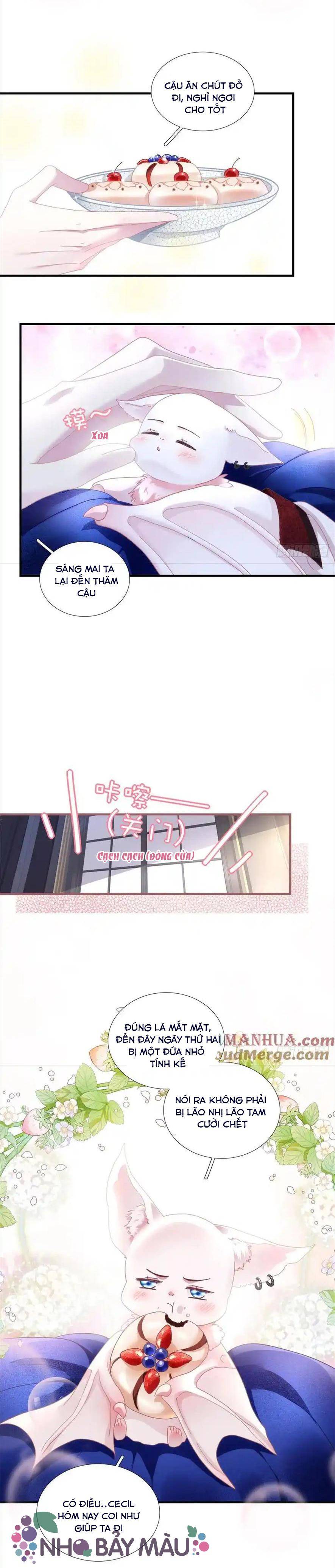 Thánh Tâm Không Khó Trêu Chọc - Chap 4