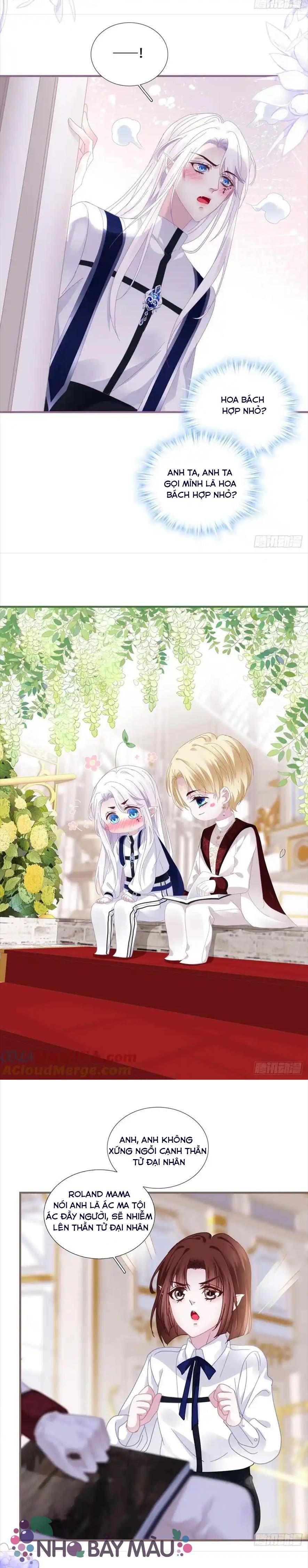 Thánh Tâm Không Khó Trêu Chọc - Chap 4