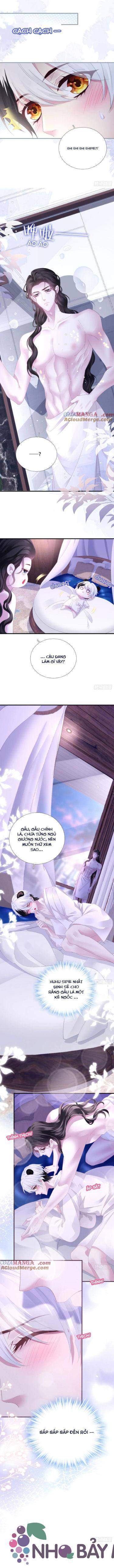 Thánh Tâm Không Khó Trêu Chọc - Chap 42