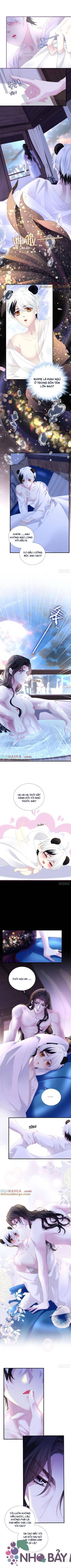 Thánh Tâm Không Khó Trêu Chọc - Chap 42