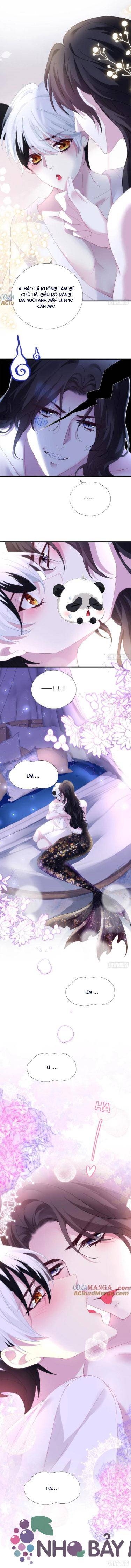 Thánh Tâm Không Khó Trêu Chọc - Chap 42