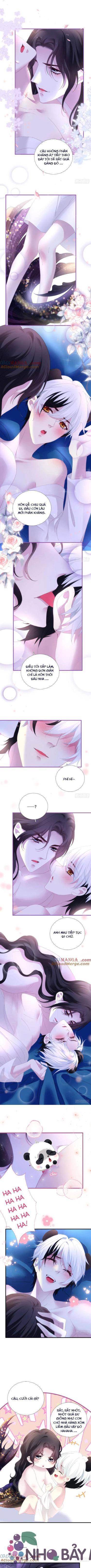 Thánh Tâm Không Khó Trêu Chọc - Chap 42