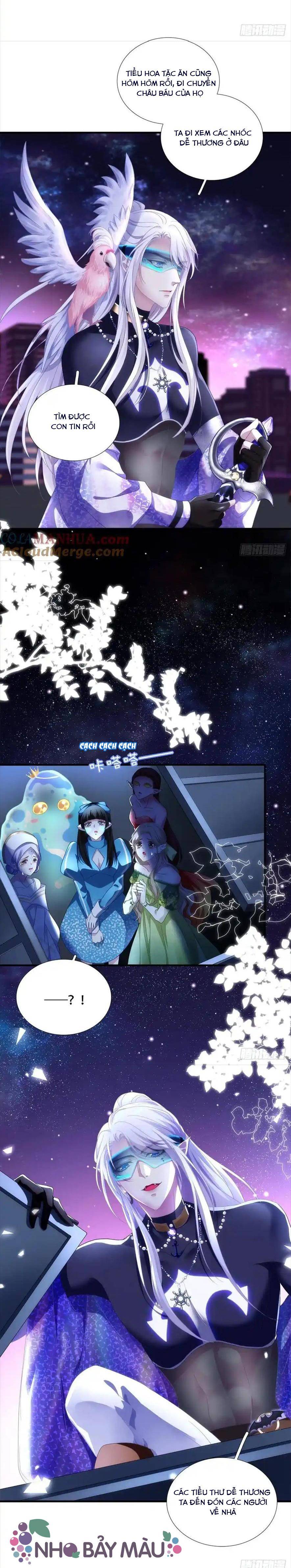 Thánh Tâm Không Khó Trêu Chọc - Chap 5