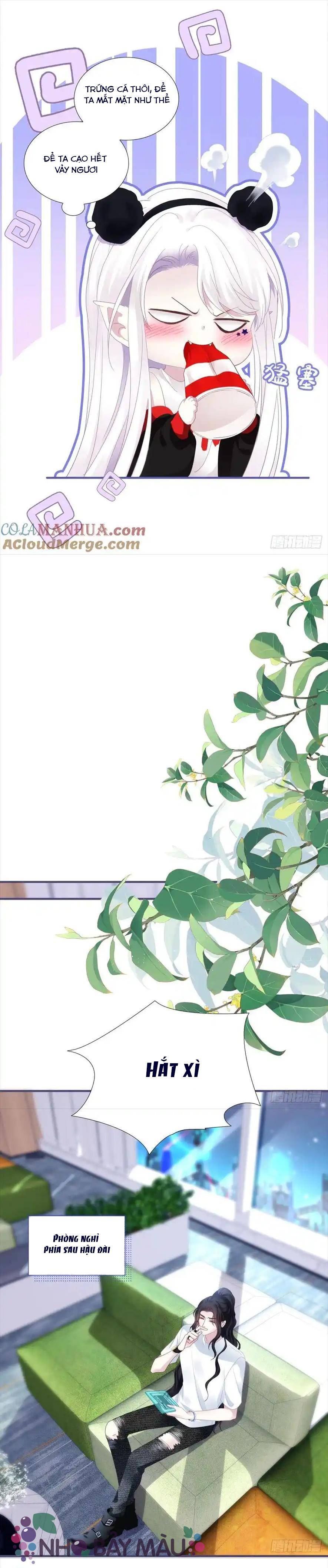 Thánh Tâm Không Khó Trêu Chọc - Chap 6