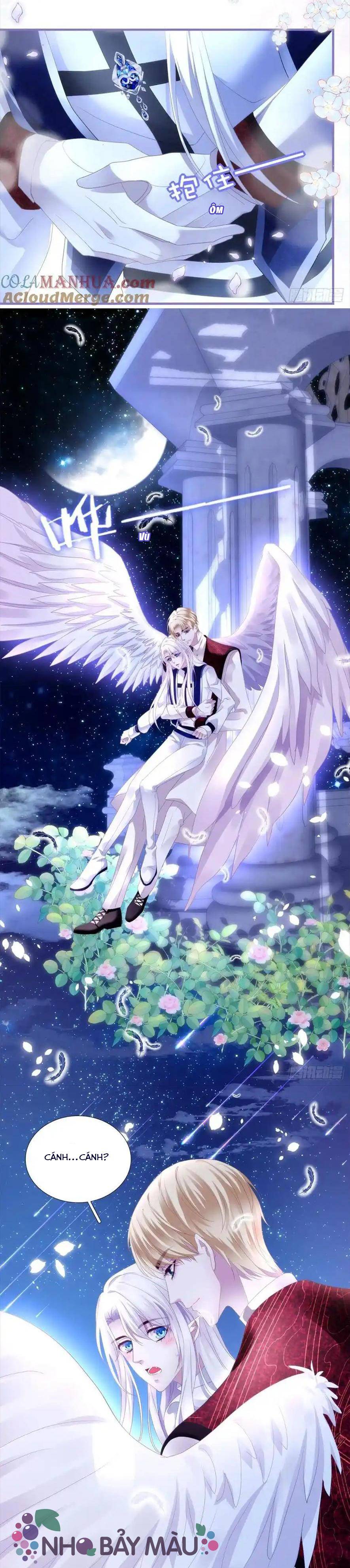 Thánh Tâm Không Khó Trêu Chọc - Chap 6