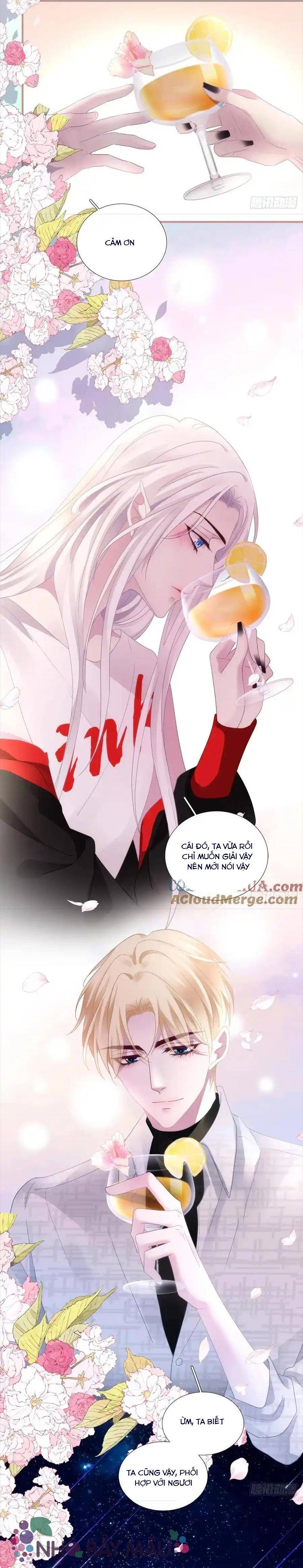 Thánh Tâm Không Khó Trêu Chọc - Chap 7